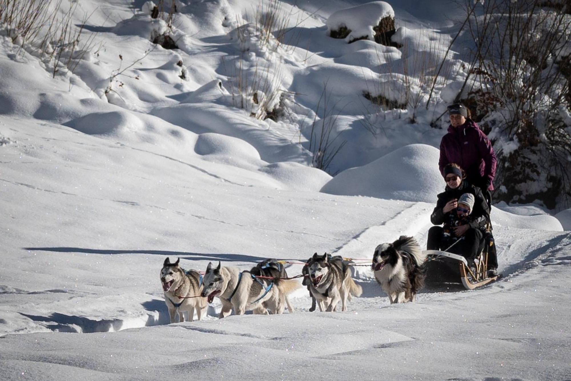 Huettenhotel Husky Lodge Muotathal Zewnętrze zdjęcie
