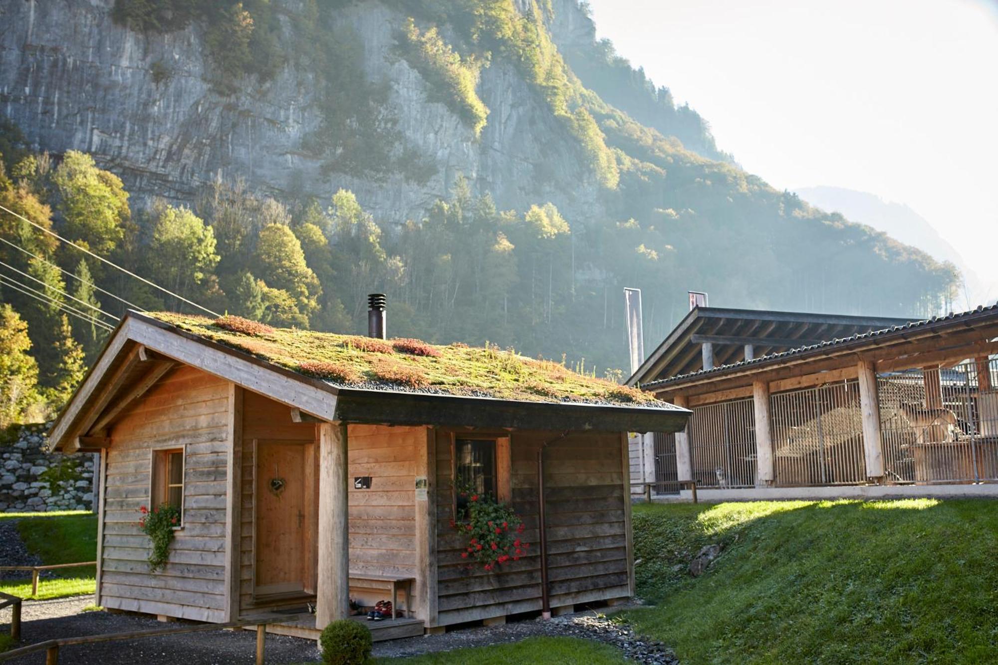 Huettenhotel Husky Lodge Muotathal Zewnętrze zdjęcie
